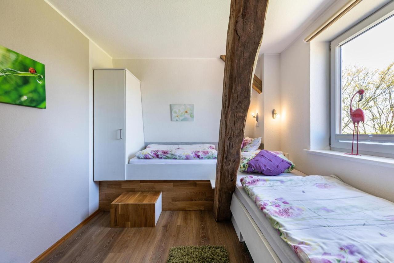 Denkerhof Ferienwohnung Deichblick Reussenkoge Экстерьер фото