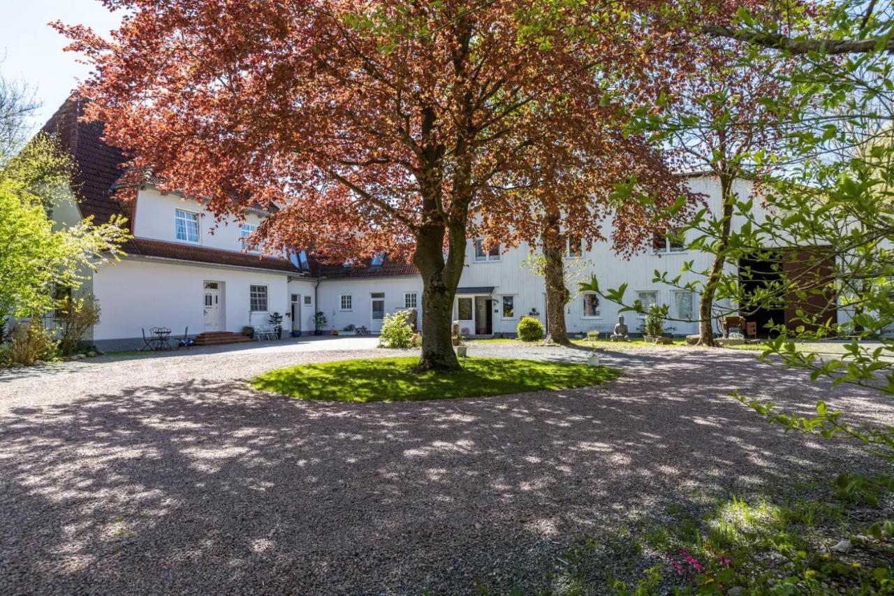 Denkerhof Ferienwohnung Deichblick Reussenkoge Экстерьер фото